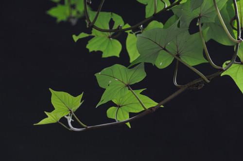 全画幅单反尼康D700与佳能5D对比评测(10)