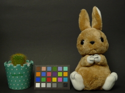 点击放大此图片