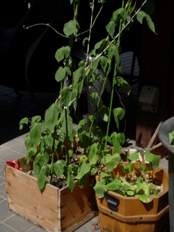 点击放大此图片