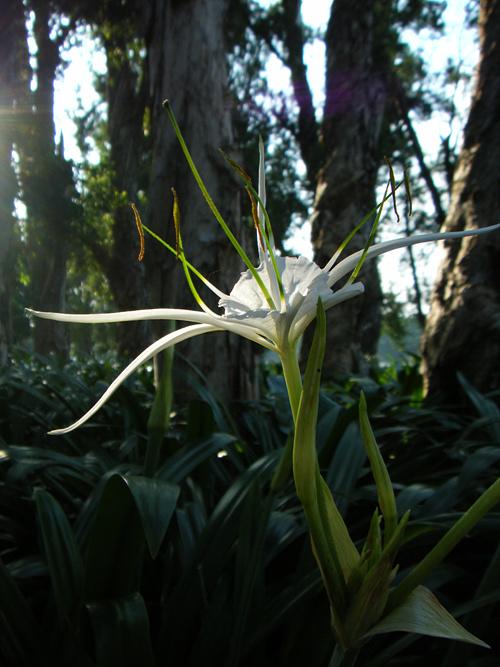 尽显刚柔之美滑盖卡片富士Z200fd评测(11)