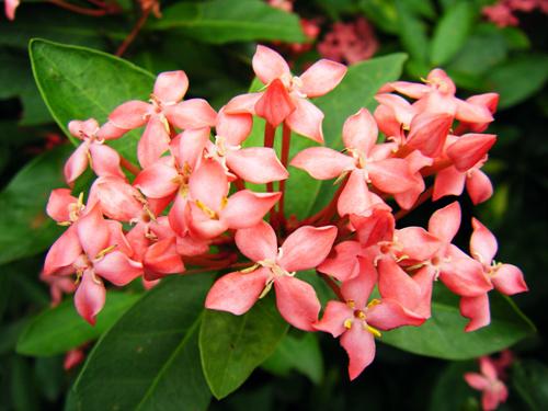 尽显刚柔之美滑盖卡片富士Z200fd评测(11)