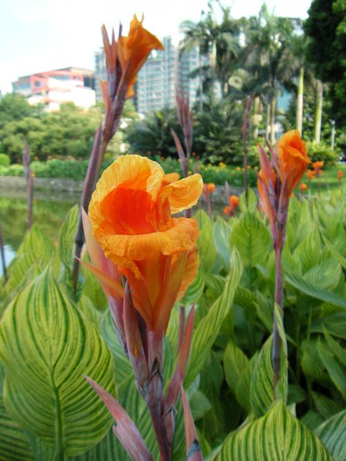 尽显刚柔之美滑盖卡片富士Z200fd评测(11)