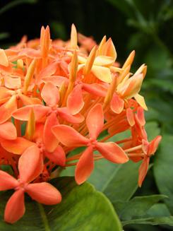 尽显刚柔之美滑盖卡片富士Z200fd评测(13)