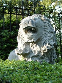 尽显刚柔之美滑盖卡片富士Z200fd评测(13)