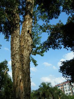 尽显刚柔之美滑盖卡片富士Z200fd评测(13)