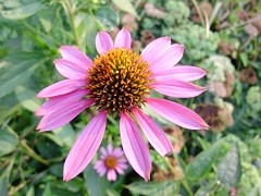 操作美学蜕变对决 GX200/LX3对比评测