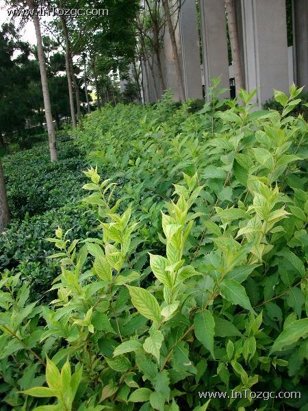 双核处理笑脸识别华旗爱国者T60评测(13)