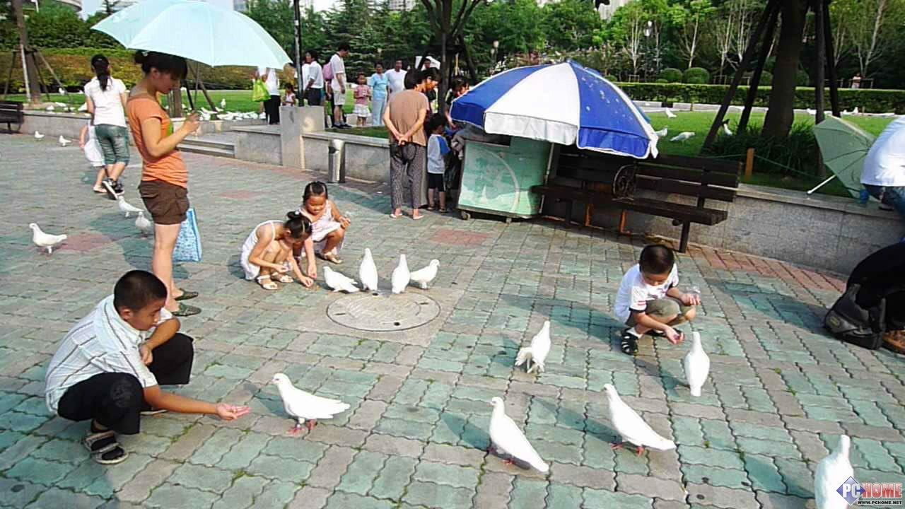卡片机之王旗舰级松下LX3详尽评测报告(10)