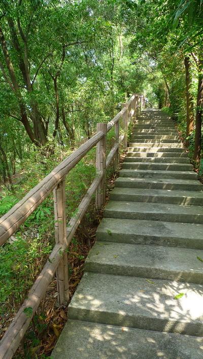 实用度继续上升25mm广角松下FX38评测(8)
