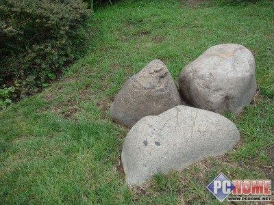 出色的成像能力索尼富士全面PK评测(8)