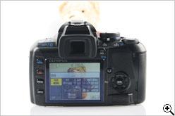 单反原来可以这样小奥林巴斯E420评测(4)