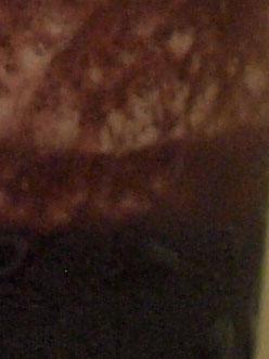 单反原来可以这样小奥林巴斯E420评测(6)