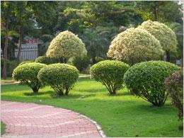 单反原来可以这样小奥林巴斯E420评测(16)