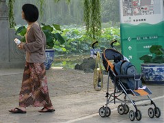 哪款更适合你？4款15x以上长焦DC横评
