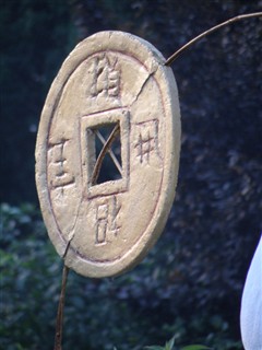 哪款更适合你?4款15x以上长焦DC横评