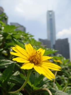光学防抖超薄卡片时尚索尼T77详细评测(20)