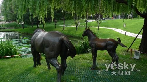 关公战秦琼松下旗舰LX3与LX2对比评测(19)