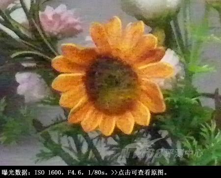 拉近灿烂笑容宾得5倍变焦相机V20评测(5)
