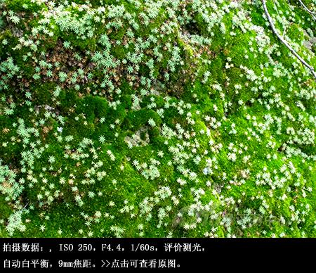 拉近灿烂笑容宾得5倍变焦相机V20评测(9)