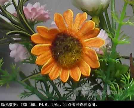 拉近灿烂笑容宾得5倍变焦相机V20评测(4)