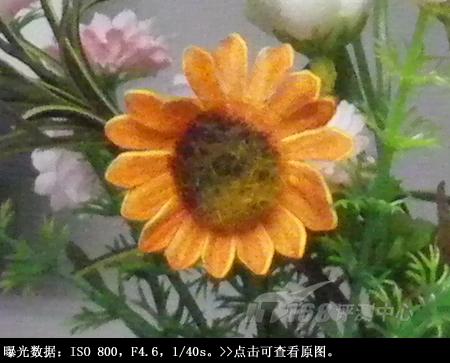 拉近灿烂笑容宾得5倍变焦相机V20评测(5)