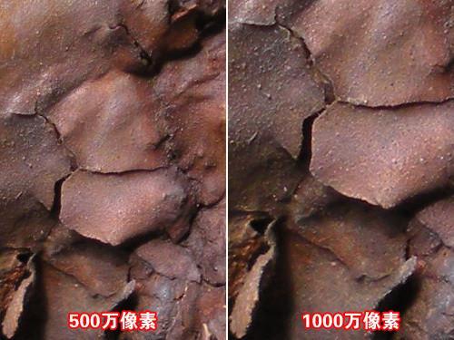 5倍光变+VR防抖 尼康S550清华园外拍评测 光变VR减震尼康S550清华园外拍评测(4)