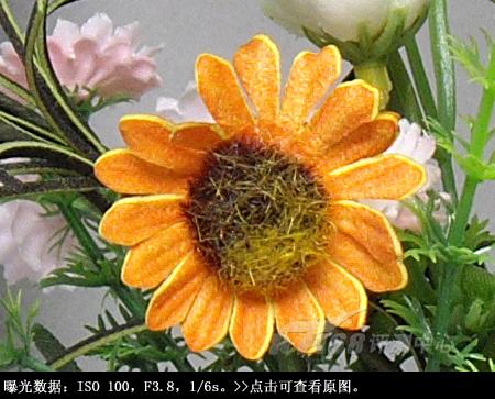 1200万有效像素卡片机宾得A36详尽评测(11)