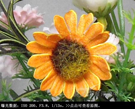 1200万有效像素卡片机宾得A36详尽评测(11)