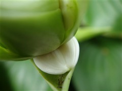 完美诠释外观极至！索尼新贵T77评测