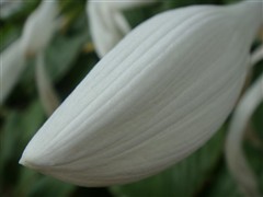 完美诠释外观极至!索尼新贵T77评测