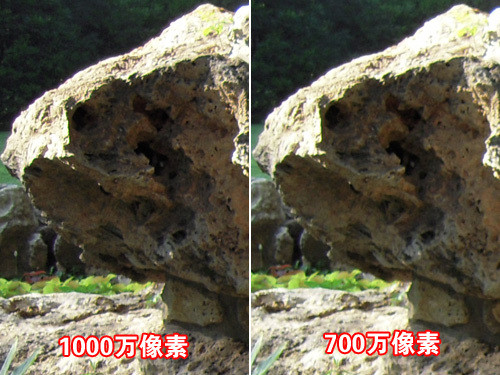 超强微距光学防抖 尼康S600花卉外拍评测 
