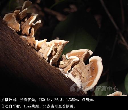 24mm广角便携专业DC理光GX200详尽评测(17)