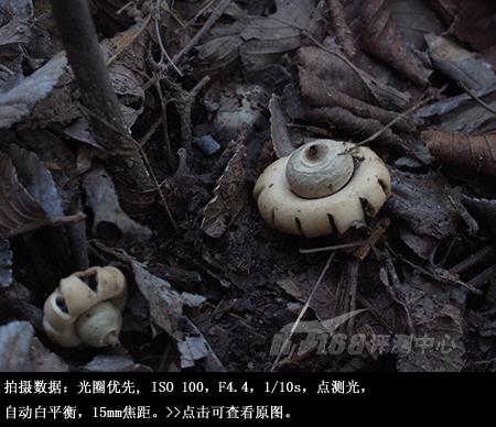 24mm广角便携专业DC理光GX200详尽评测(17)