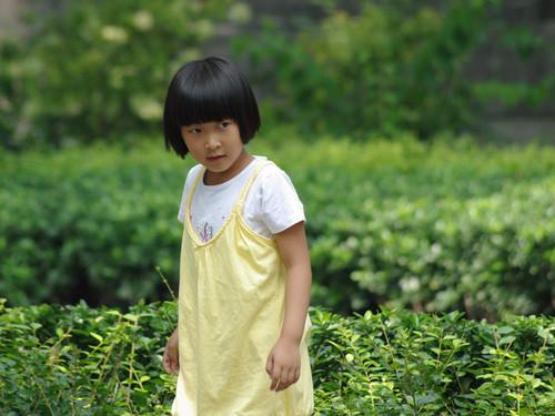 后海外拍占位 人文之美宾得K200D双镜头套机后海外拍(10)
