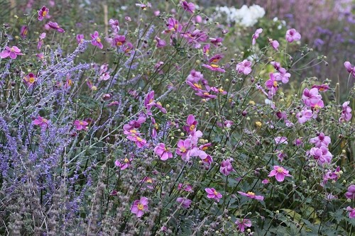 出色1500万像素 佳能50D国外评测样片