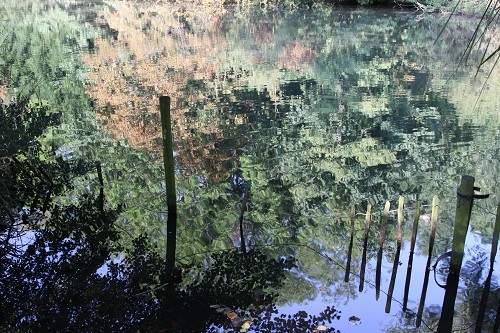 出色1500万像素 佳能50D国外评测样片