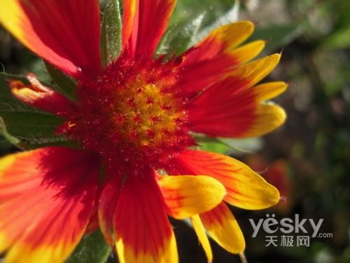 超快速启动卡片相机尼康S610详尽评测(13)