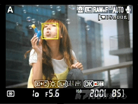 看红杏悄然出墙创意单反尼康D90详细评(6)