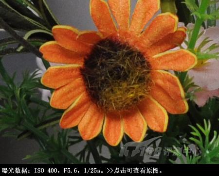 看红杏悄然出墙创意单反尼康D90详细评(9)