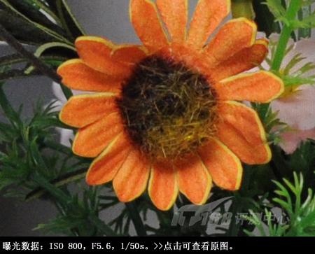 看红杏悄然出墙创意单反尼康D90详细评(9)