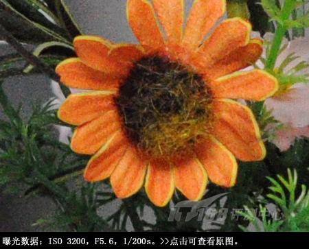 看红杏悄然出墙创意单反尼康D90详细评(9)