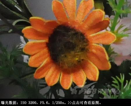 看红杏悄然出墙创意单反尼康D90详细评(10)