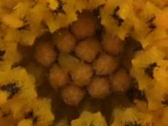 箕豆相煎富士F60fd与F100fd对比评测(10)