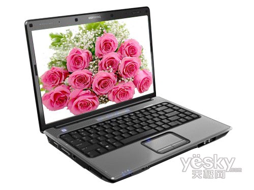 HP Compaq Presario 自由人 V3906TX(FK636PA)