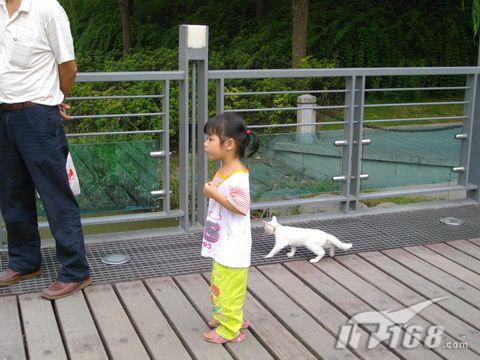 性价比超值千万像素宾得E60试用评测(3)