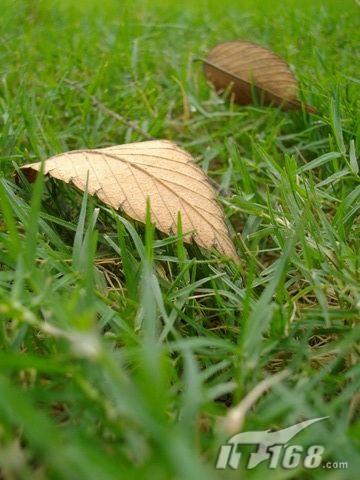 性价比超值千万像素宾得E60试用评测(4)