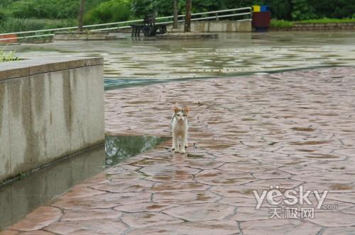 超声波标变旅游镜头宾得17-70F4评测(19)