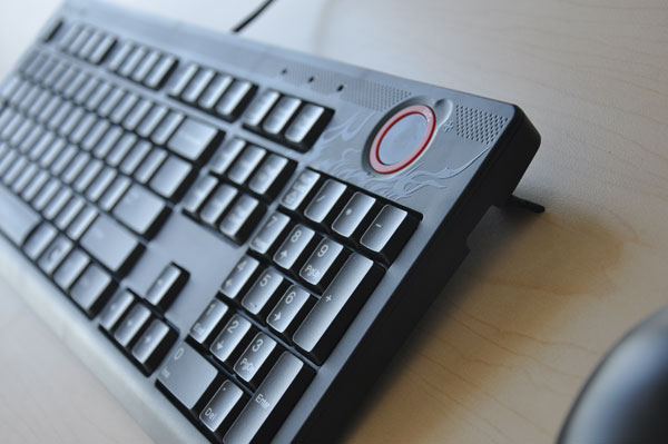 尼康D90配18-105多组样片分析欣赏(3)