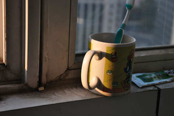 尼康D90配18-105多组样片分析欣赏(4)