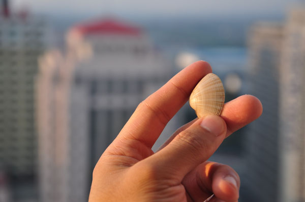 尼康D90配18-105多组样片分析欣赏(4)